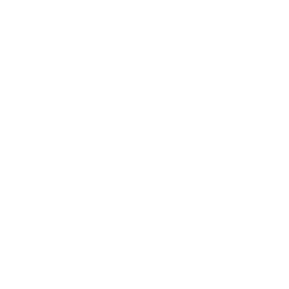 Blumer