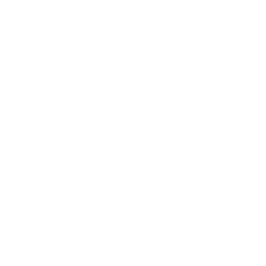 Digiword